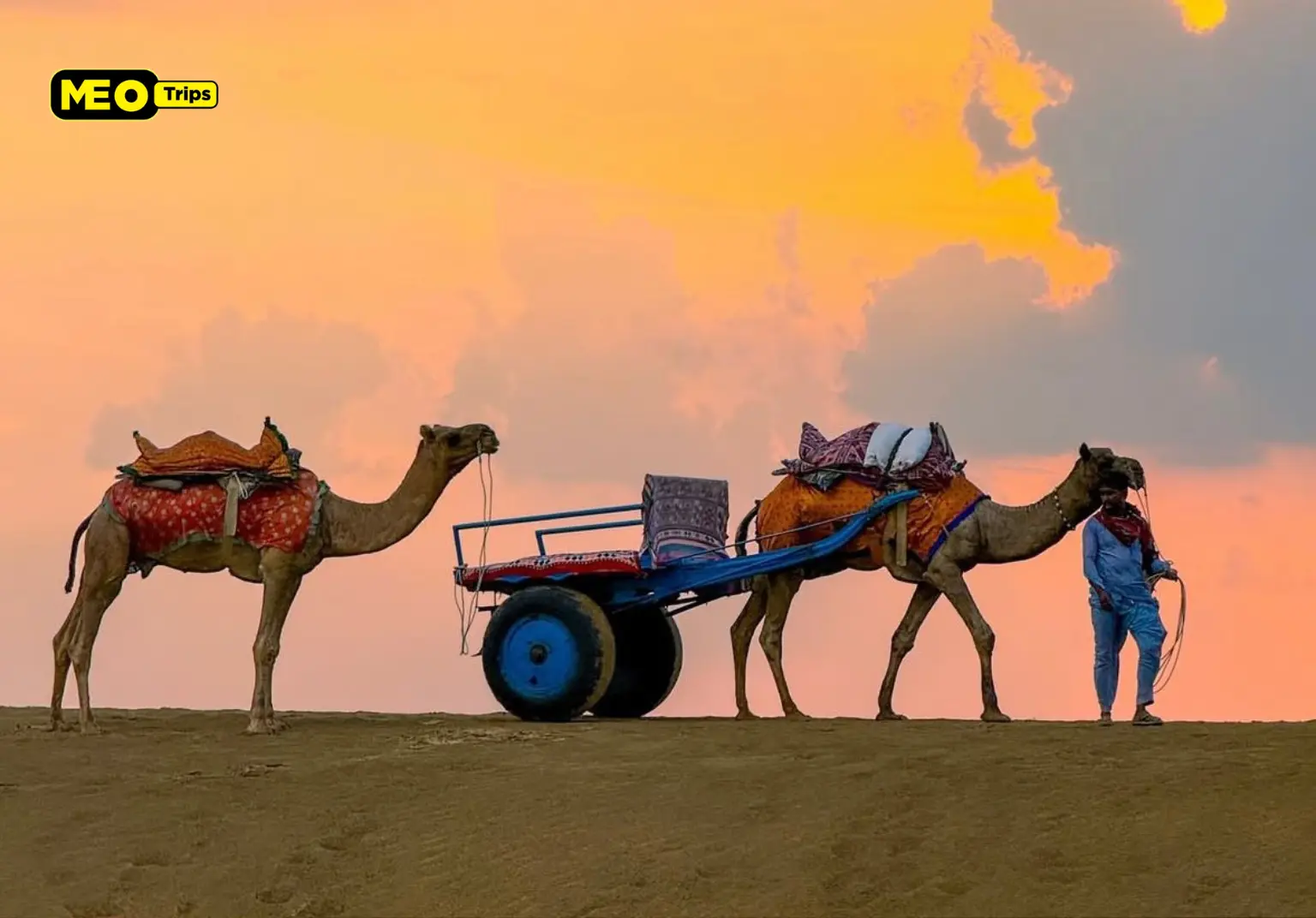camel cart